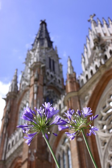 "alla lejos la catedral" de Jose Ignacio Frelliaro