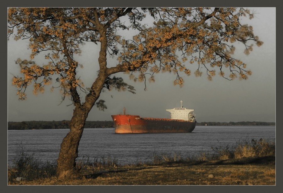 "Barco" de Rafa Lanuza