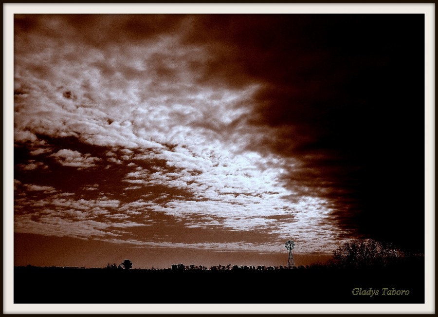 "Atardecer en el campo" de Gladys Taboro