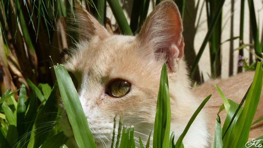 "Observando en el jardin" de Florencia Lavagnino