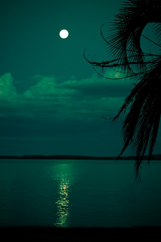 "La luna sobre el lago.." de Jorge Rafael Bernigaud