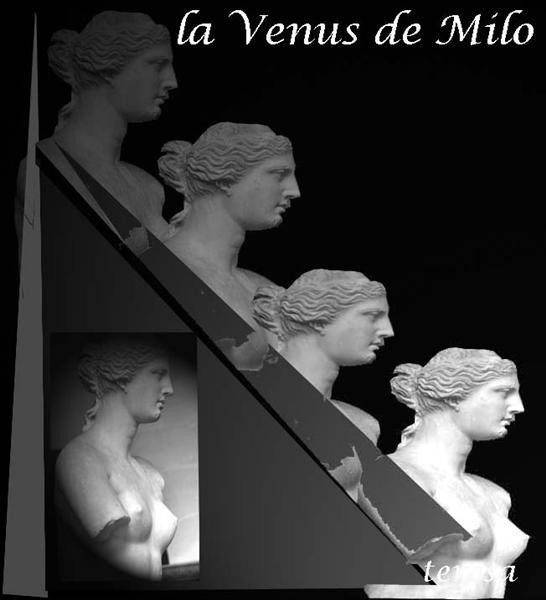 "La Venus de Milo" de Teresa Ternavasio