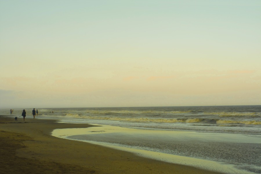 "Paseo en la playa" de Tesi Salado