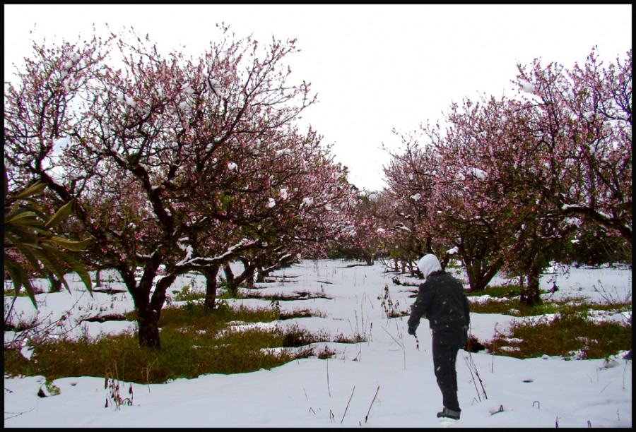 "Nieve en Primavera II" de Ruben Perea