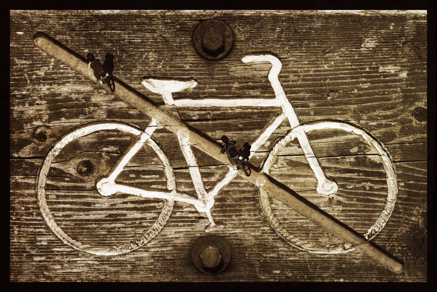 "Andando la bicicleta" de Analia Coccolo