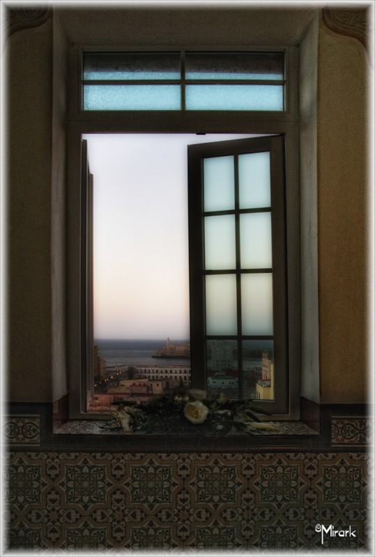 "Rosas en la ventana" de Mirta Steinberg