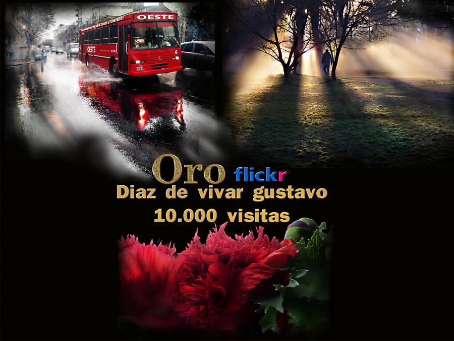 "10.000 visitas" de Gustavo Diaz de Vivar