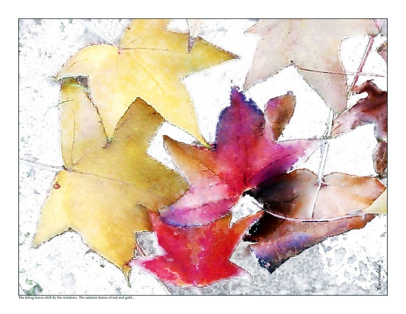 "The Autumn Leaves" de Silvia Corvaln