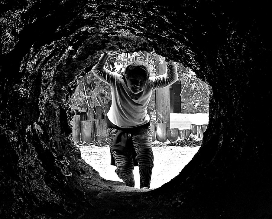 "Al del tunel" de Alberto Elizalde