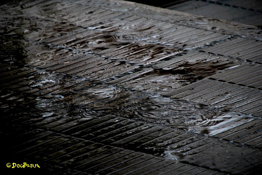 "Domingo de lluvia" de Juan Jos Braun