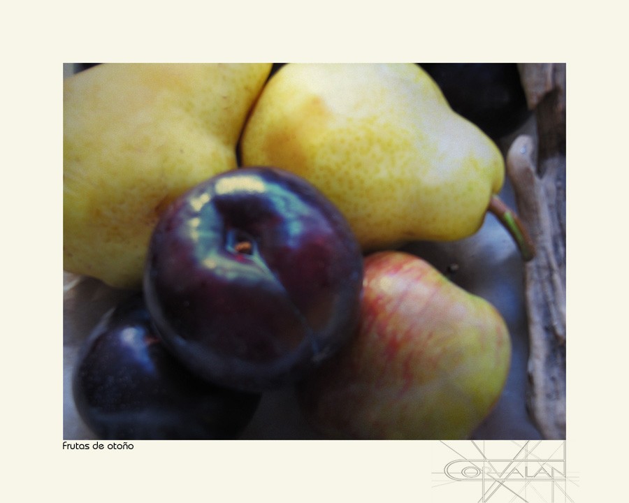 "Frutas de otoo -1-" de Silvia Corvaln