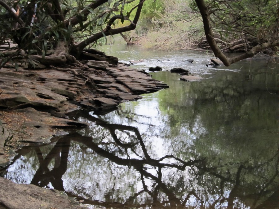 "reflejos en el arroyo" de Clara Wiskitski