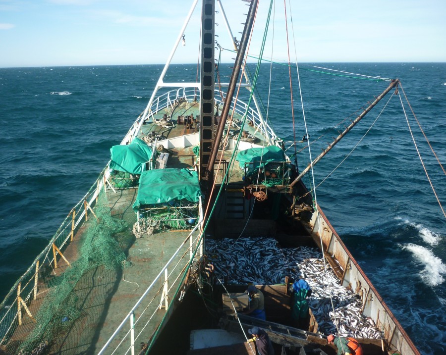 "buena pesca" de Carlos Alberto Novo