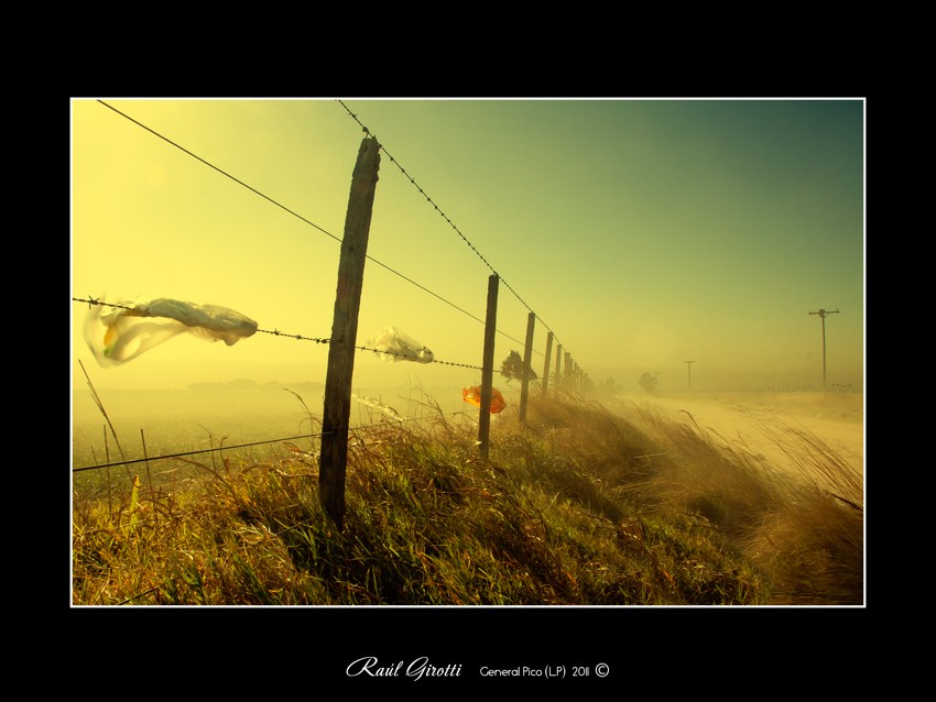 "Viento, campos y caminos..." de Ral Girotti