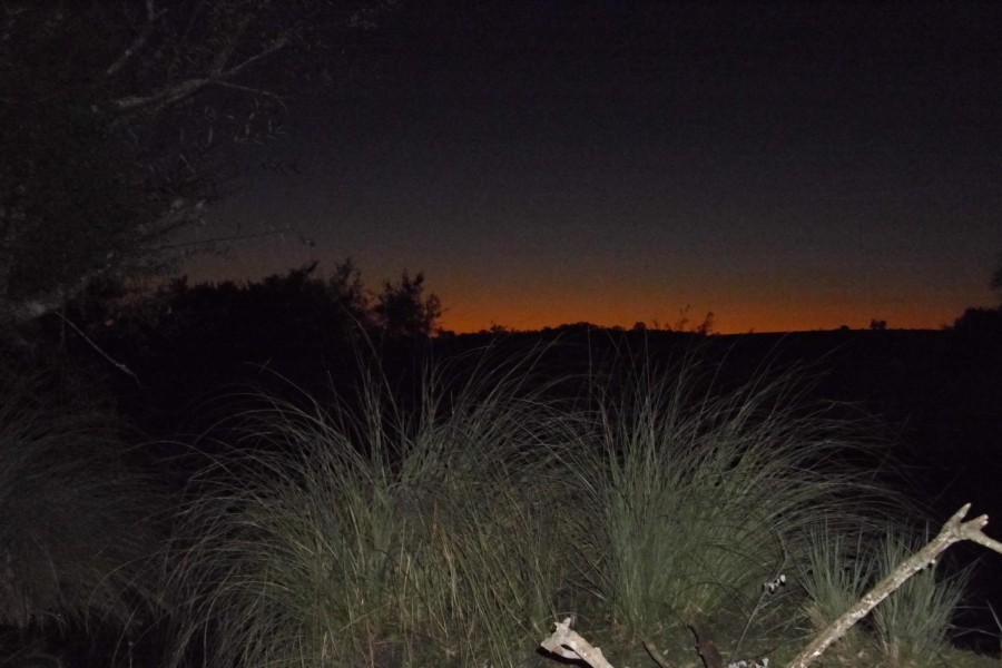 "Atardecer en el campo" de Oscar Robatto Rodriguez