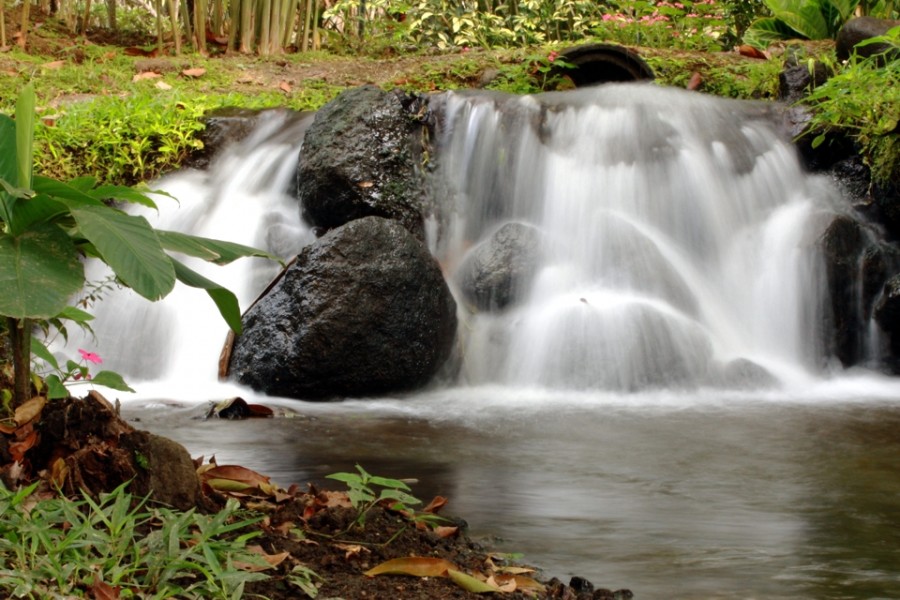 "Cascada" de Virgilio Rodriguez