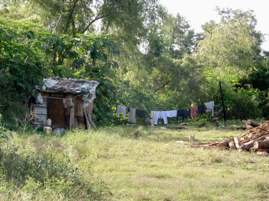 "Refugio" de Ana Maria Real