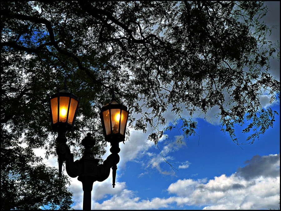 "Iluminado" de Alberto Elizalde