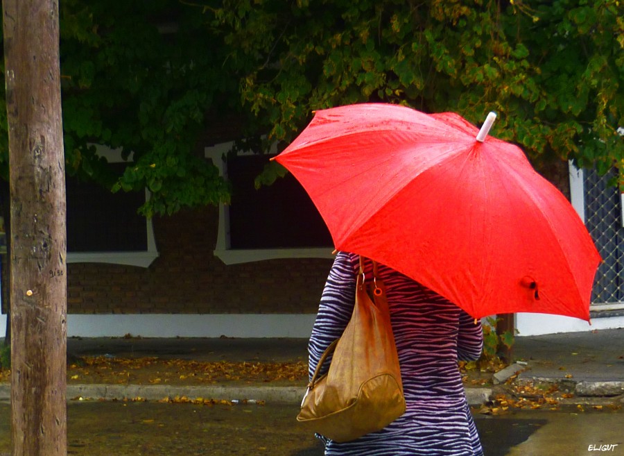 "LLuvia de Abril" de Elizabeth Gutirrez (eligut)