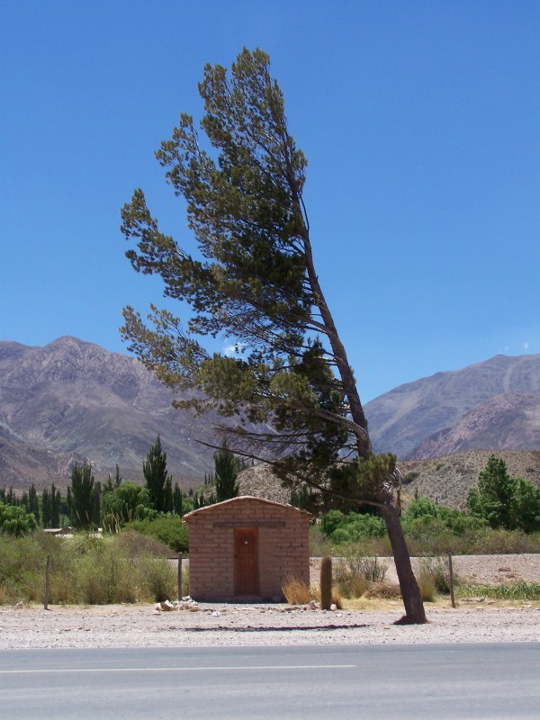 "Culpa del viento" de Eduardo Battaglini