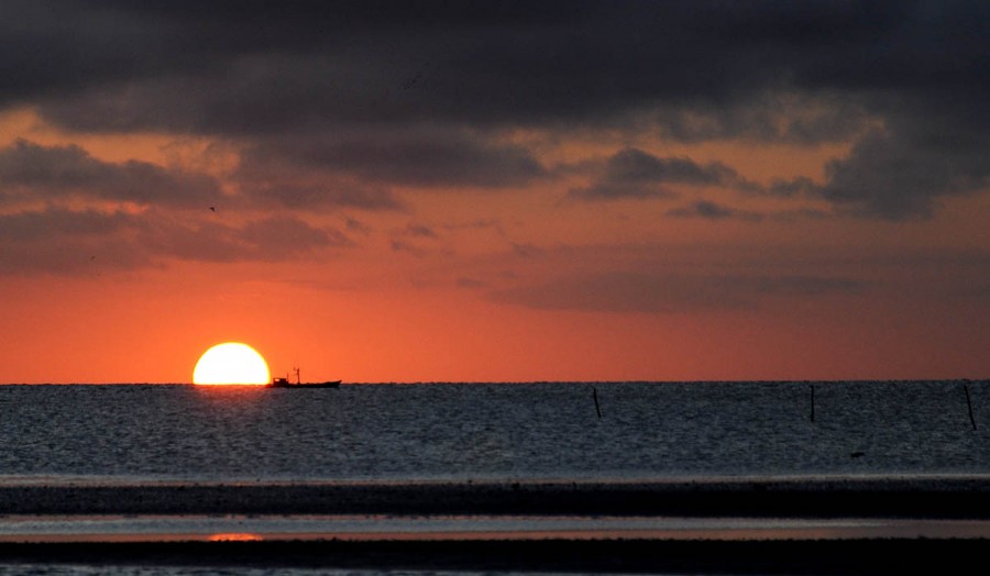 "la barca y el sol" de Edith Polverini