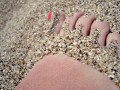 Con los pies en la arena