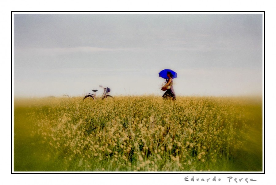 "Recogiendo Sueos (2)" de Eduardo Perez