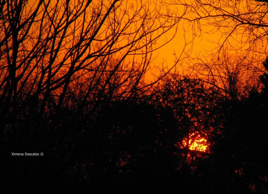 "Fuego de atardecer" de Ma. Ximena Descalzo Centurin