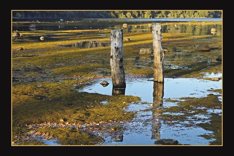 "DOS REFLEJADOS" de Paola Segade