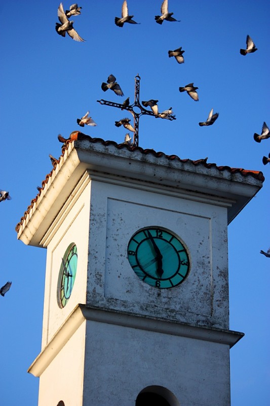 "Palomas" de Alberto Jara