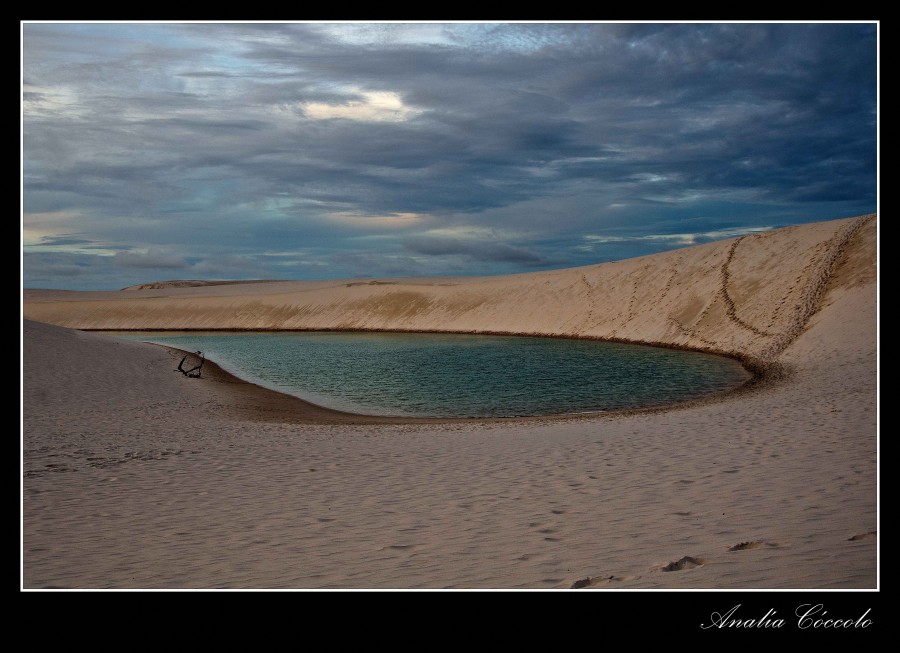 "Oasis entre las dunas" de Analia Coccolo