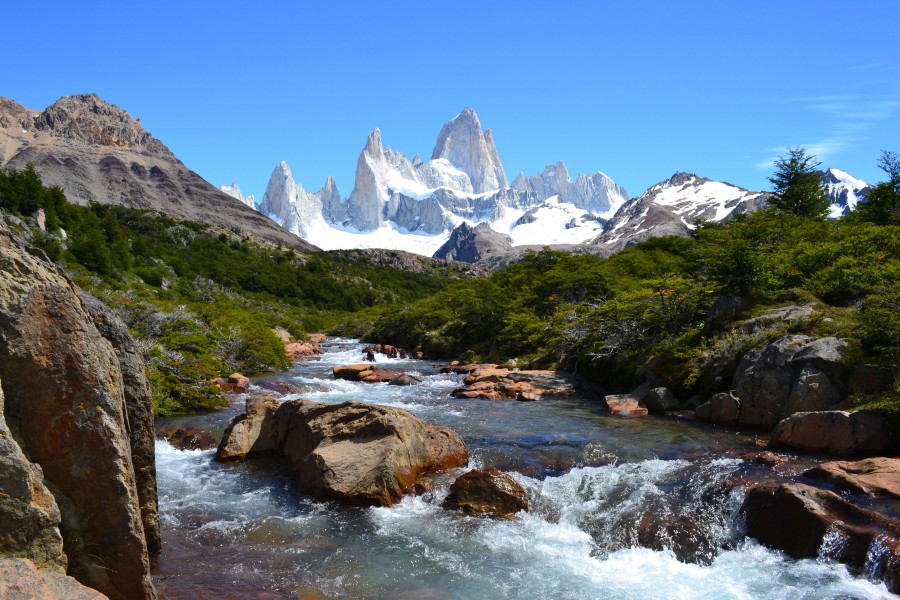 "Camino tras caminos y sed de naturaleza" de Miguel Angel Gasparini