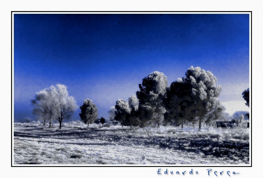 "Cay una Blanca" de Eduardo Perez