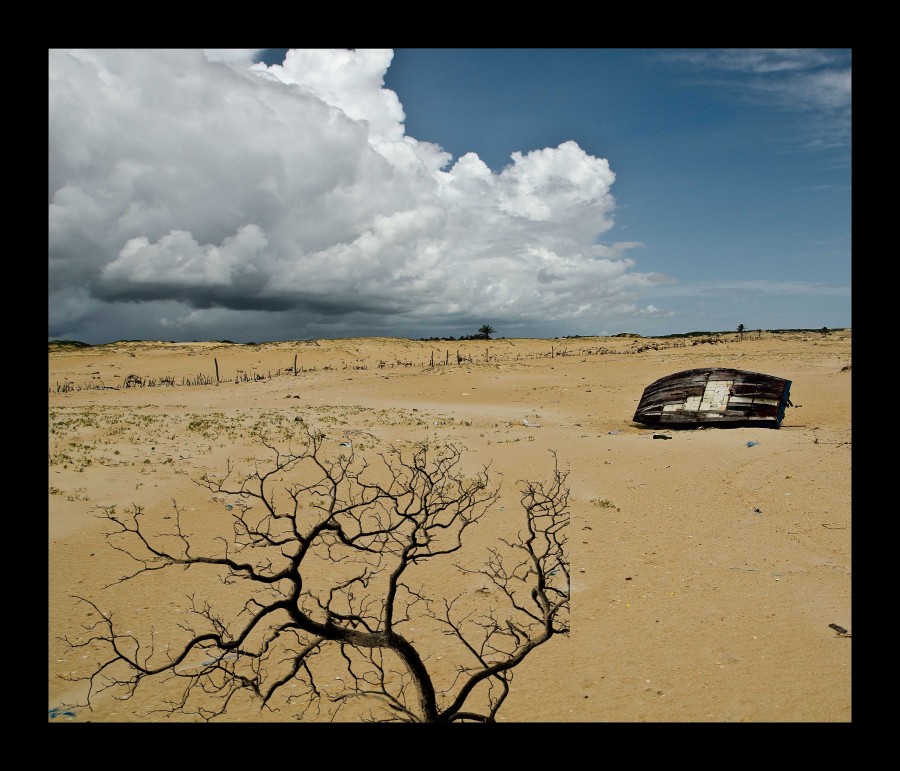 "Abandono" de Analia Coccolo