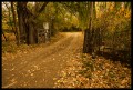 otoo-Sur de Mendoza