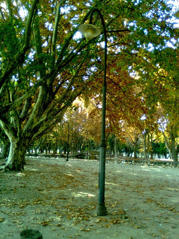 "caminando por Parque Sarmiento2(Rio Cuarto)" de Maria Del Carmen Aguilera