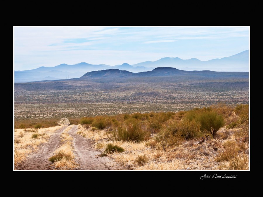 "desierto pampeano" de Jose Luis Anania