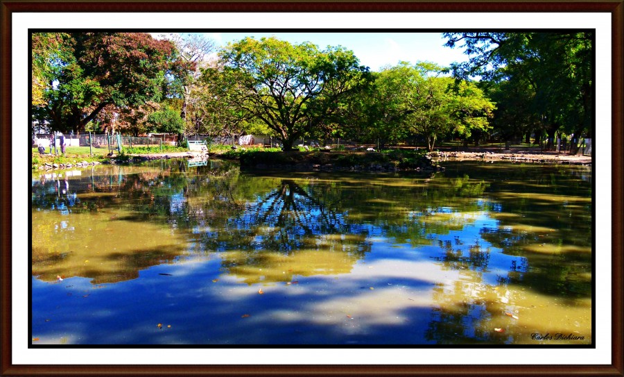 "Lago Multicolor" de Carlos Dichiara