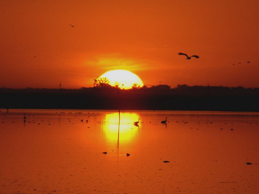 "puesta de sol" de Edith Polverini