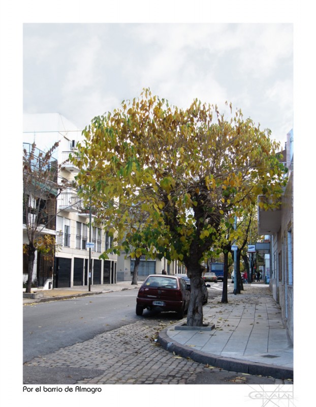 "Barrio de Almagro" de Silvia Corvaln