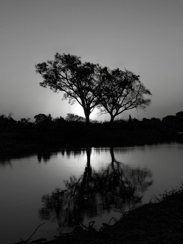 "Atardecer isleo" de Eduardo Battaglini