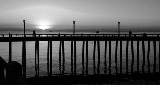 "muelle" de Edith Polverini