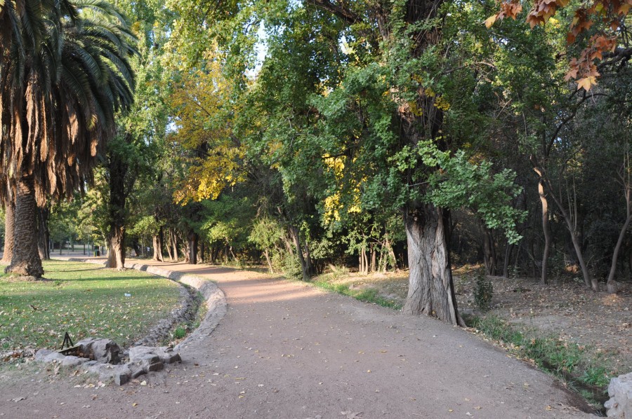 "Mendoza en otoo" de Jose Alberto Vicente