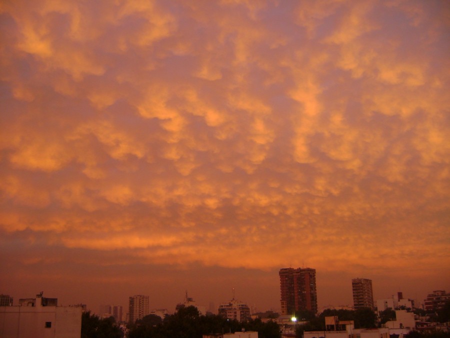 "Rosa sky" de Guillermo Toso Stolbizer