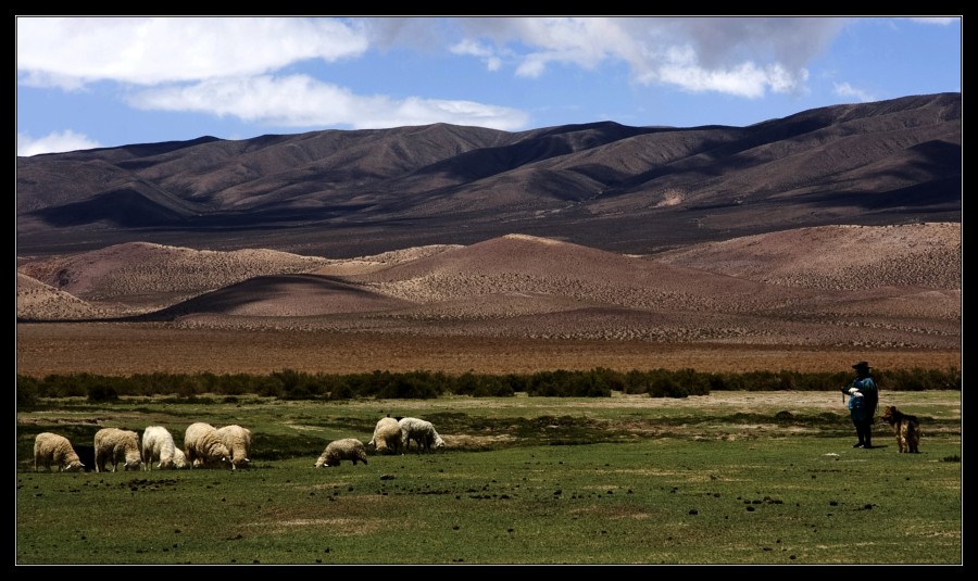 "Pastora" de Seba Japas