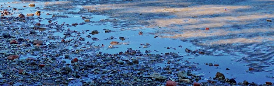 "reflejos en la playa" de Fernando Oscar Colussi