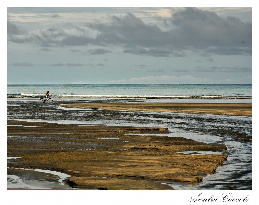 "Junto a ella en el mar" de Analia Coccolo