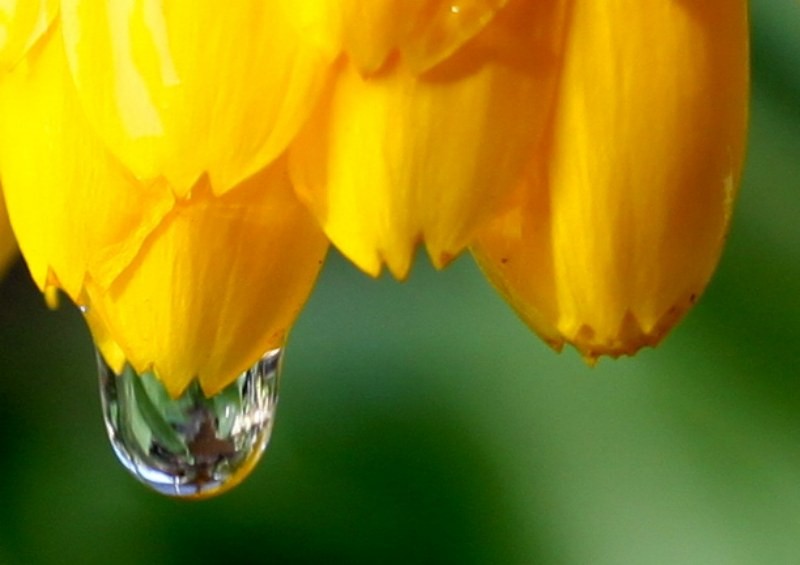 "`Reflejos en el agua`" de Hugo Andrade