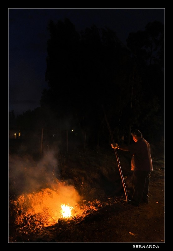 "Fuego nocturno" de Bernarda Ballesteros