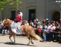 La dama y la yegua